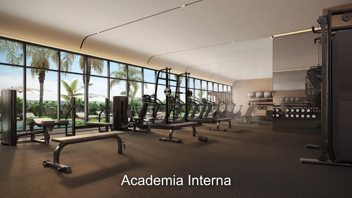 Academia Interna
